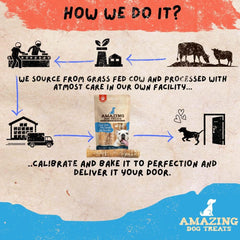 - 12 Inch Beef Trachea Chews for Dogs (10 Pcs/Pk) - 100% Natural Trachea Dog Treats - Excellent Source of Glucosamine - Natural Long Lasting Treats