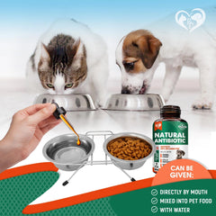 Natural Herbal Antibiotics for Cats and Dogs Kennel Cough Relief & Urinary Tract Support Cranberry UTI Treatment Pet Supplement Respiratory & Cold Infection Medicine Made in USA
