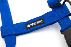 Pawsitive Dog Harness for Small, Medium, and Large Dogs. Puppy Harness for Dogs. Made from Soft Hypoallergenic Organic Hemp. (Small, Blue)