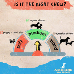 - 12 Inch Beef Trachea Chews for Dogs (10 Pcs/Pk) - 100% Natural Trachea Dog Treats - Excellent Source of Glucosamine - Natural Long Lasting Treats