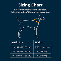 , Chain Reaction Dog Collar, Adjustable Reflective Martingale Escape-Proof Collar with Stainless Steel Chain, Professional Training Control, Basalt Gray, 20"-26"