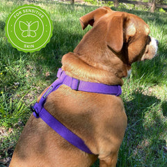 Pawsitive Dog Harness for Small, Medium, and Large Dogs. Puppy Harness for Dogs. Made from Soft Hypoallergenic Organic Hemp. (Small, Blue)