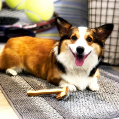 Premium Pet Bamboo Wood Cushion Slicker Brush for Cats & Dogs Grooming, Detangle, De-Shedding - Engineered to Remove Dead Hair, Sustainable & Eco-Friendly Bamboo Material (Medium)