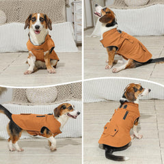 Workwear Style Dog Jacket with Built-in Harness
