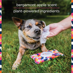 Pet Wipes for Dogs, Dog Cleaning Wipes - Plant-Based Dog Wipes with Moisturizing Aloe Leaf & Calendula - Made in the USA - Bergamot Apple Scent Dog Grooming Wipes - 40Ct (Pack of 1)
