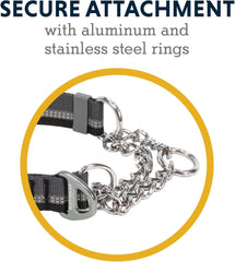 , Chain Reaction Dog Collar, Adjustable Reflective Martingale Escape-Proof Collar with Stainless Steel Chain, Professional Training Control, Basalt Gray, 20"-26"