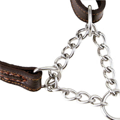 Leather Dog Martingale Choke Collar, Brown, Large