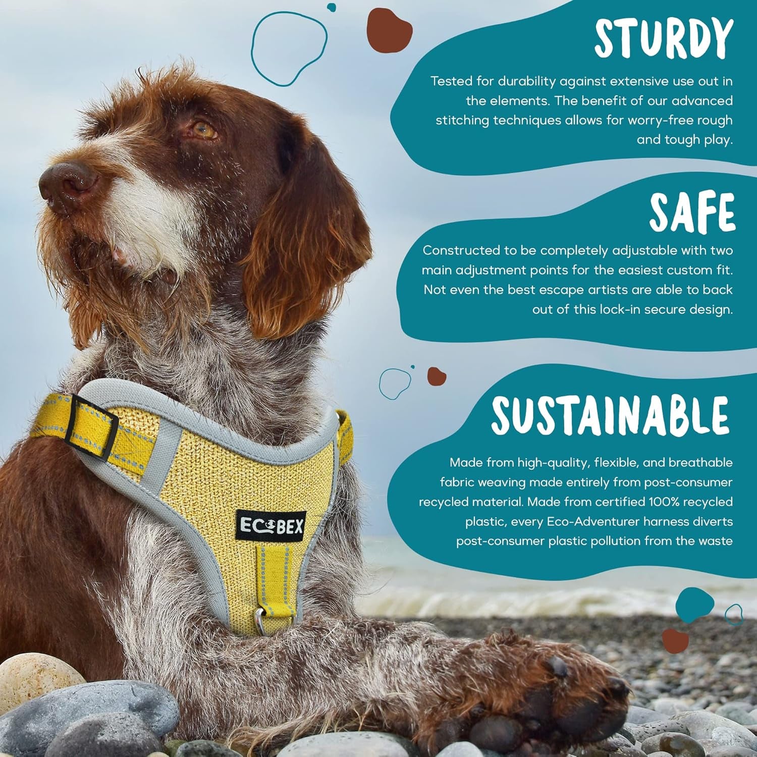 Eco-Adventurer Dog Harness, Eco-Friendly, No-Pull and No-Escape Design, Adjustable, Durable and Comfortable, Front Clip for Training, Made from Recycled Plastic, Blue, Small