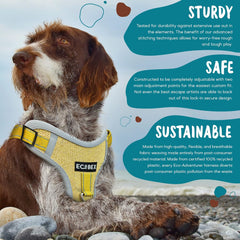 Eco-Adventurer Dog Harness, Eco-Friendly, No-Pull and No-Escape Design, Adjustable, Durable and Comfortable, Front Clip for Training, Made from Recycled Plastic, Blue, Small