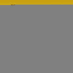 Scoot Stopper Soft Chews Fiber for Dogs Dog Anal Gland and Digestion Support