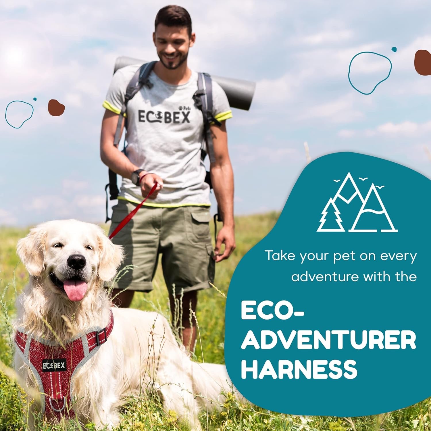 Eco-Adventurer Dog Harness, Eco-Friendly, No-Pull and No-Escape Design, Adjustable, Durable and Comfortable, Front Clip for Training, Made from Recycled Plastic, Blue, Small