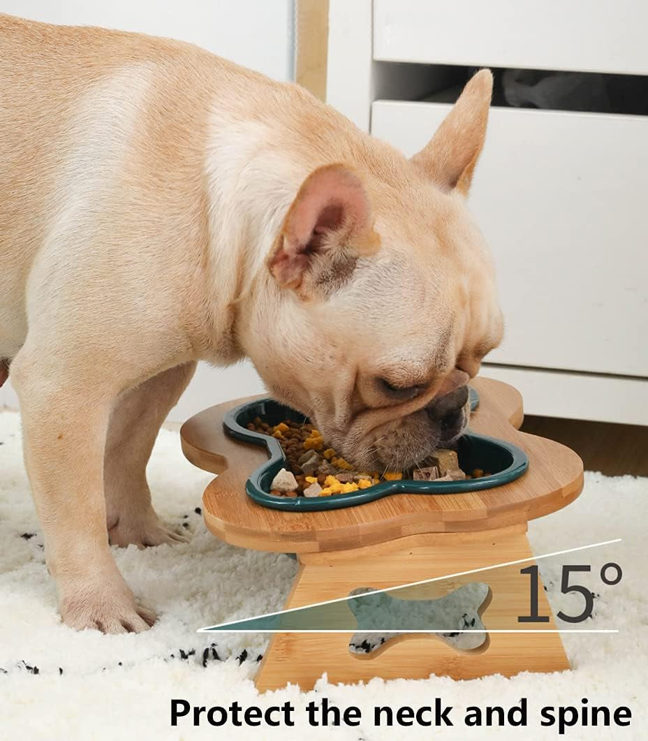 Elevated Ceramic Dog Bowl with Stand - Cute Raised Tilted anti Vomiting Cat Dish - Personalized Pet Feeder for Food and Water - Heavy Weighted No Tip over - Sized for Small/Medium Dog and Large Cat