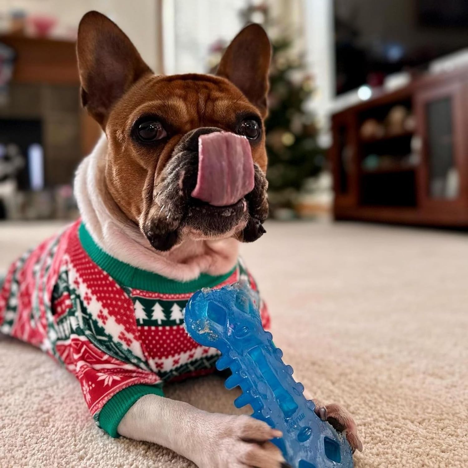 Flexi Chill & Chew Toy for Dogs with Treat Pockets, Dog Toys for Moderate Chewers, Chicken Flavor, Medium - up to 35 Lbs, 1 Count