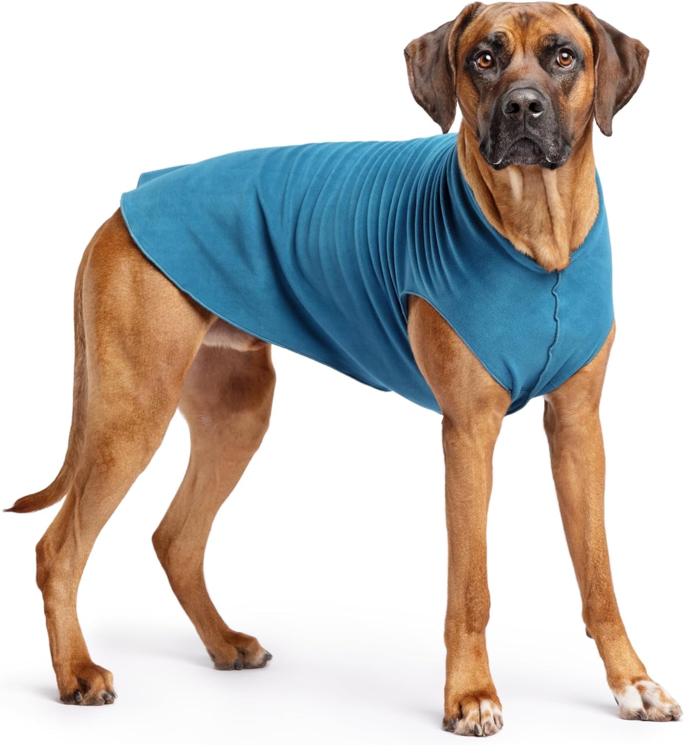 Goldpaw Stretchy Fleece Jacket for Small Dogs - Super Soft, Warm Dog Sweater - Pet Sweater Vest for Fall and Winter - Canine Clothes Made in the USA - Machine Washable - Mulberry Plaid - Size 16