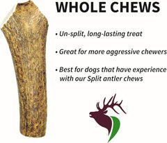 Small Whole Single Pack (For 10-30 Lb Dogs and Puppies) Premium Grade Elk Antler for Dogs (1 Piece) Sourced in the USA
