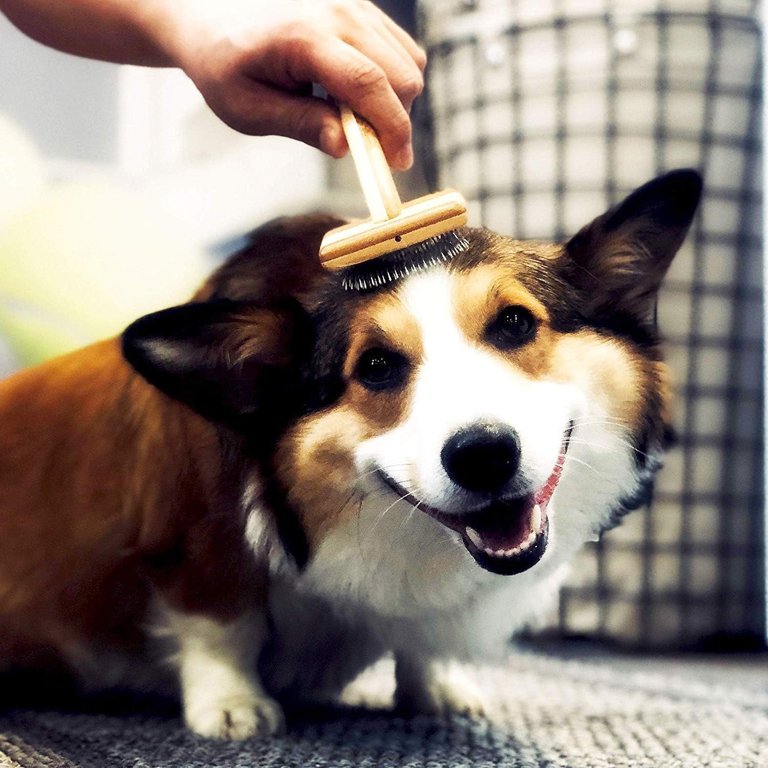 Premium Pet Bamboo Wood Cushion Slicker Brush for Cats & Dogs Grooming, Detangle, De-Shedding - Engineered to Remove Dead Hair, Sustainable & Eco-Friendly Bamboo Material (Medium)