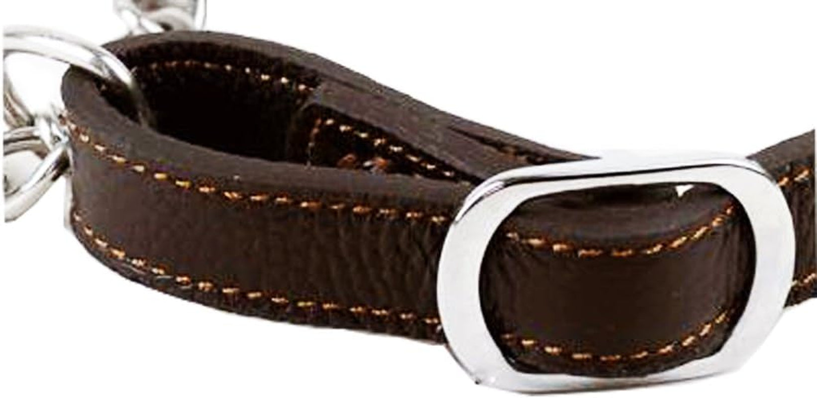 Leather Dog Martingale Choke Collar, Brown, Large