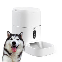Intelligent Pet Companion: Automatic Feeder & Water Dispenser