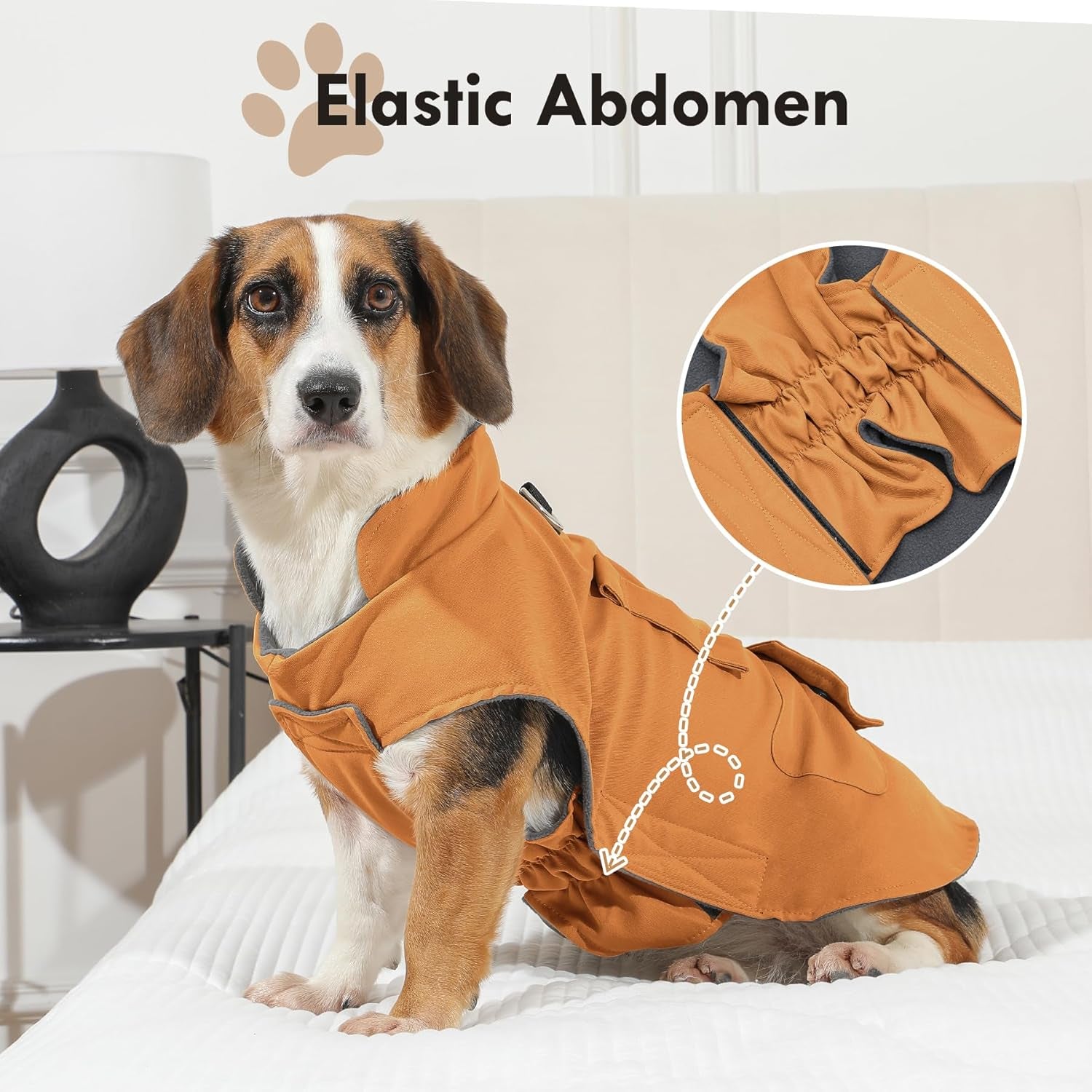 Workwear Style Dog Jacket with Built-in Harness