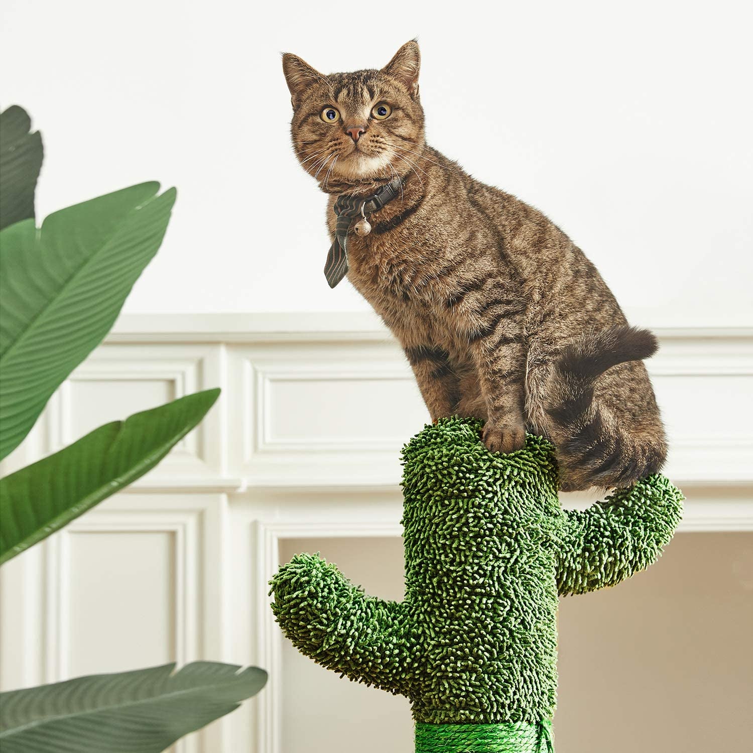 34" Cactus Cat Scratching Post with Dangling Ball for Cats Large Version Green