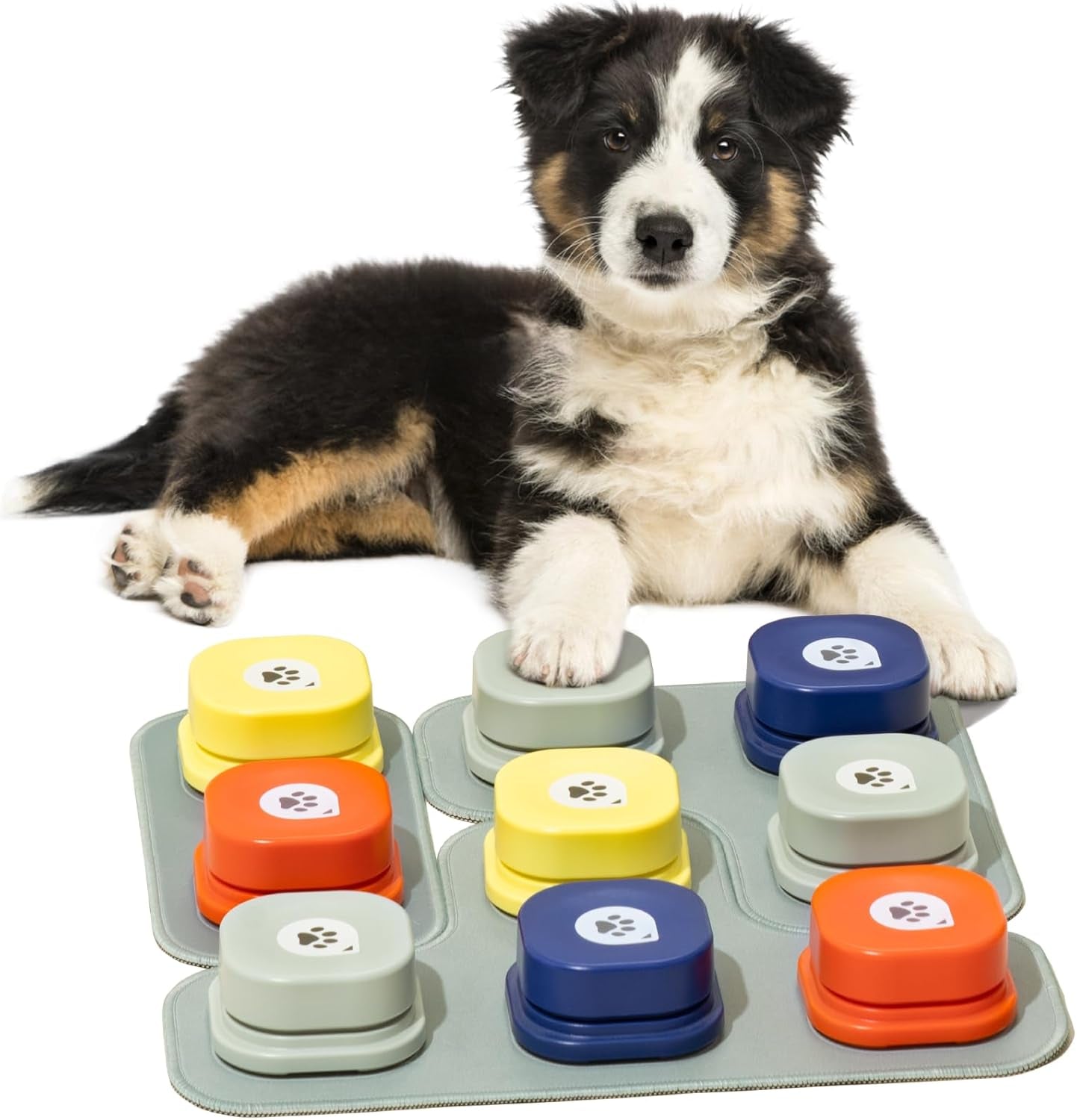 Pup Talk™ Interactive Dog Talking Buttons + Training Mat 🎤🐾