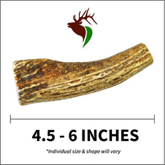 Small Whole Single Pack (For 10-30 Lb Dogs and Puppies) Premium Grade Elk Antler for Dogs (1 Piece) Sourced in the USA