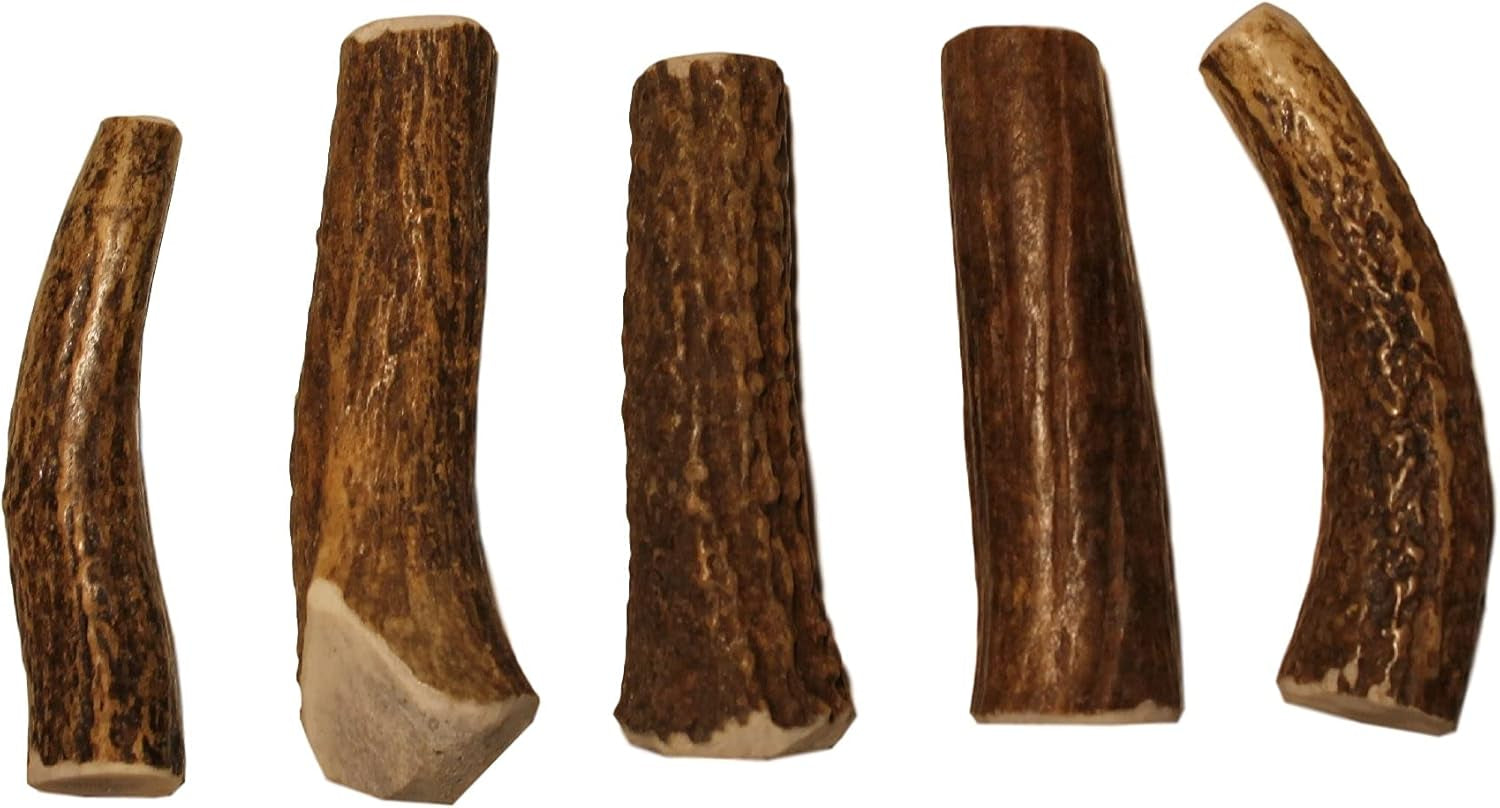Small Whole Single Pack (For 10-30 Lb Dogs and Puppies) Premium Grade Elk Antler for Dogs (1 Piece) Sourced in the USA
