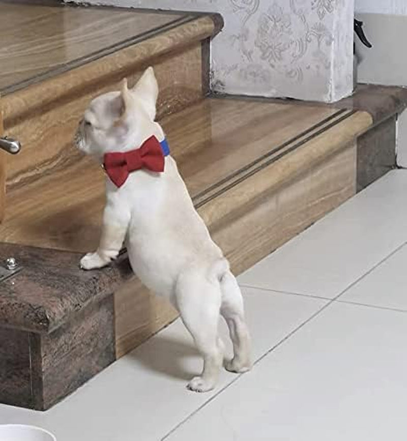 Soft & Comfy Cute Adjustable Leather Dog Collar and Cat Collar with Pink Bow Tie for Small Medium Dog and Cat