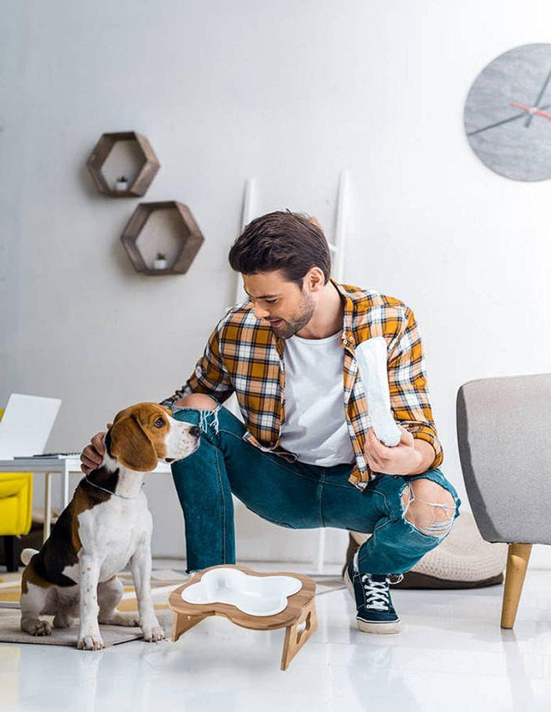 Elevated Ceramic Dog Bowl with Stand - Cute Raised Tilted anti Vomiting Cat Dish - Personalized Pet Feeder for Food and Water - Heavy Weighted No Tip over - Sized for Small/Medium Dog and Large Cat