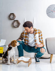 Elevated Ceramic Dog Bowl with Stand - Cute Raised Tilted anti Vomiting Cat Dish - Personalized Pet Feeder for Food and Water - Heavy Weighted No Tip over - Sized for Small/Medium Dog and Large Cat