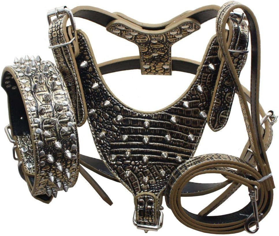 Leather Spiked Studded Medium & Large Dog Collars, Harnesses & Leashes 3Pcs Matching Set for Pit Bull,Mastiff, Boxer, Bull Terrier(Gold,L)
