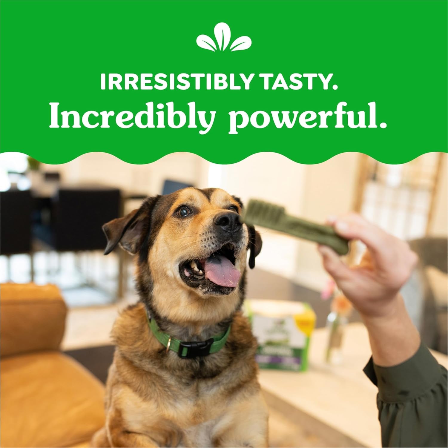 Original Large Dental Dog Treats, 6 Oz. Pack (4 Treats)