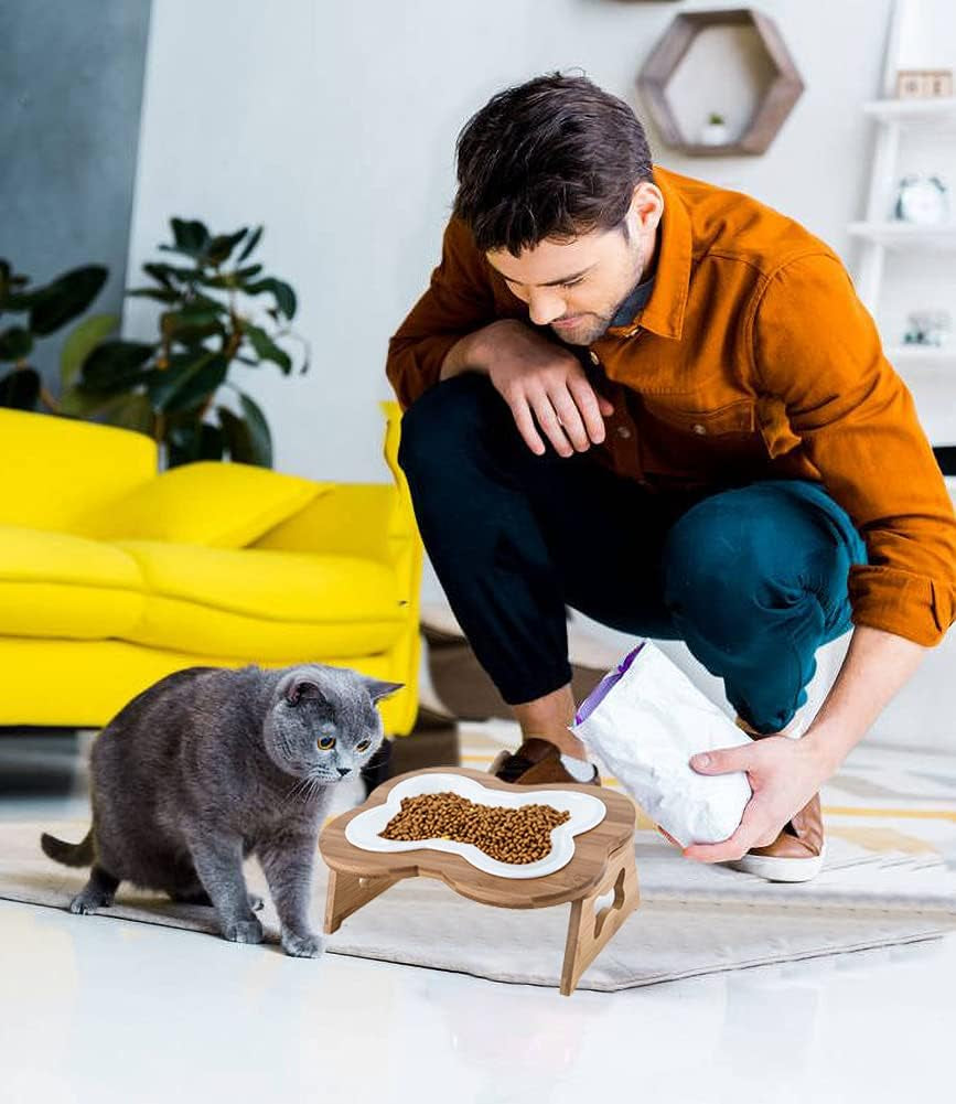 Elevated Ceramic Dog Bowl with Stand - Cute Raised Tilted anti Vomiting Cat Dish - Personalized Pet Feeder for Food and Water - Heavy Weighted No Tip over - Sized for Small/Medium Dog and Large Cat