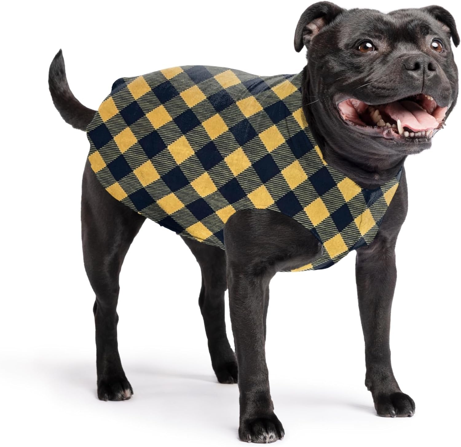 Goldpaw Stretchy Fleece Jacket for Small Dogs - Super Soft, Warm Dog Sweater - Pet Sweater Vest for Fall and Winter - Canine Clothes Made in the USA - Machine Washable - Red - Size 12