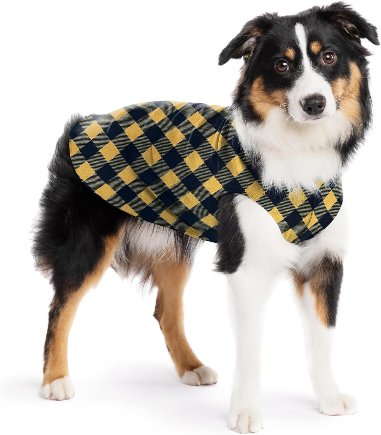 Goldpaw Stretchy Fleece Jacket for Small Dogs - Super Soft, Warm Dog Sweater - Pet Sweater Vest for Fall and Winter - Canine Clothes Made in the USA - Machine Washable - Mulberry Plaid - Size 16