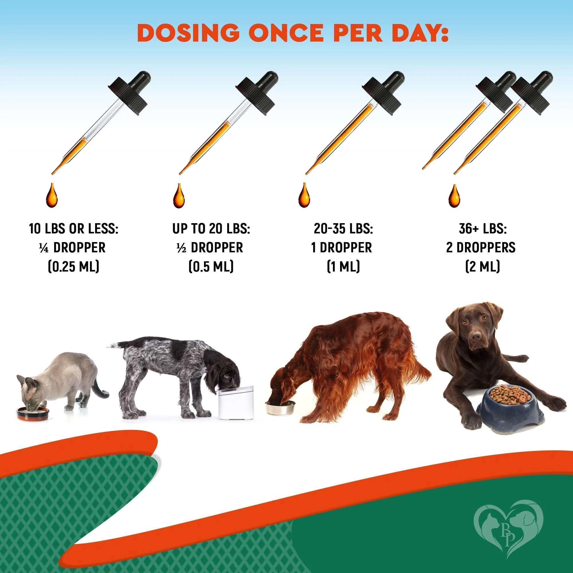 Natural Herbal Antibiotics for Cats and Dogs Kennel Cough Relief & Urinary Tract Support Cranberry UTI Treatment Pet Supplement Respiratory & Cold Infection Medicine Made in USA