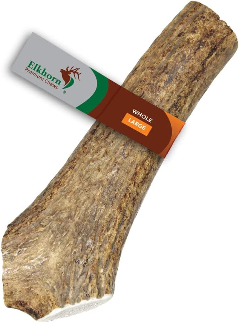 Small Whole Single Pack (For 10-30 Lb Dogs and Puppies) Premium Grade Elk Antler for Dogs (1 Piece) Sourced in the USA