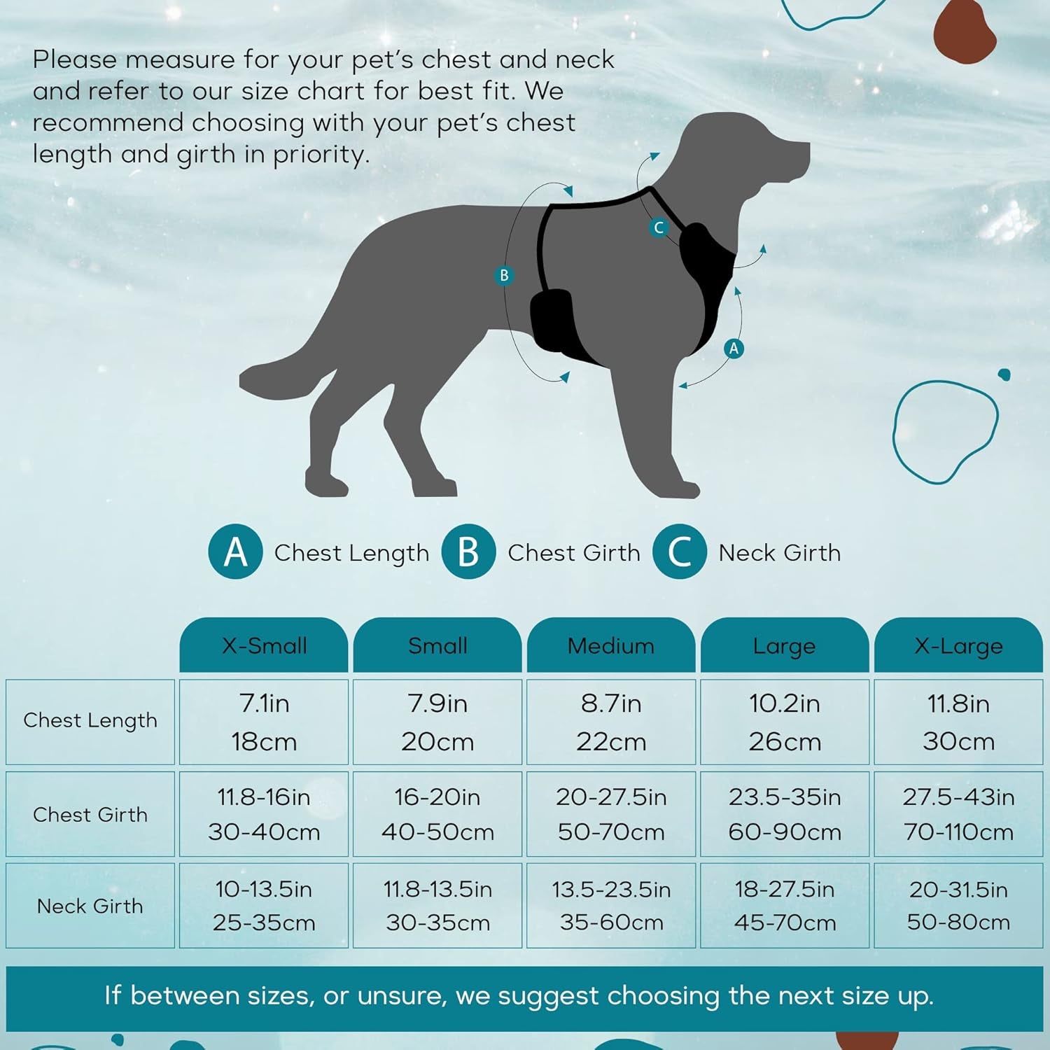 Eco-Adventurer Dog Harness, Eco-Friendly, No-Pull and No-Escape Design, Adjustable, Durable and Comfortable, Front Clip for Training, Made from Recycled Plastic, Blue, Small