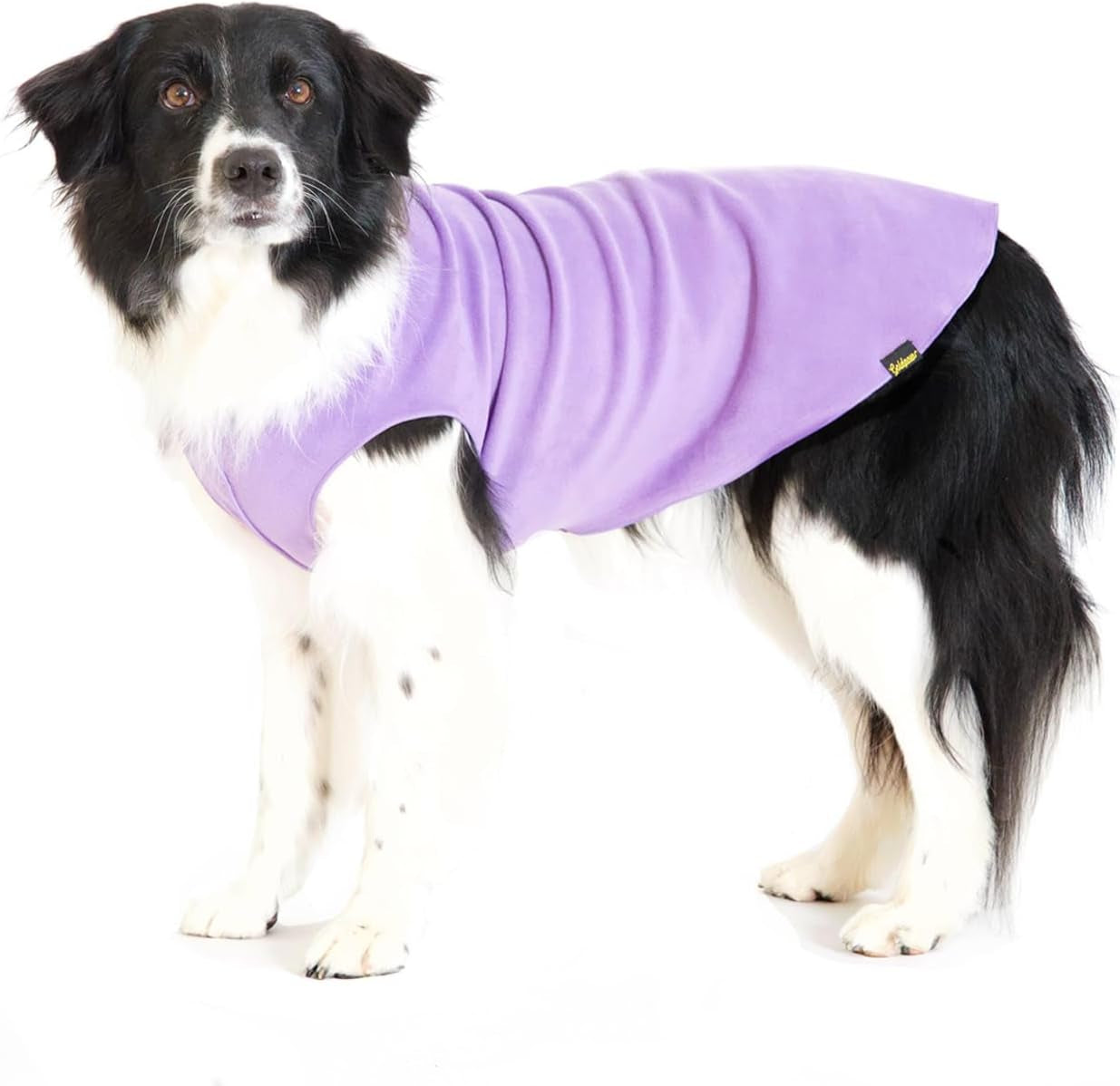 Goldpaw Stretchy Fleece Jacket for Small Dogs - Super Soft, Warm Dog Sweater - Pet Sweater Vest for Fall and Winter - Canine Clothes Made in the USA - Machine Washable - Red - Size 12