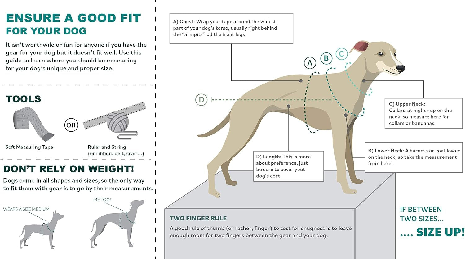 Pawsitive Dog Harness for Small, Medium, and Large Dogs. Puppy Harness for Dogs. Made from Soft Hypoallergenic Organic Hemp. (Small, Blue)