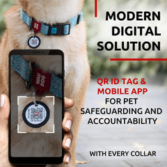 Blue Reflective Cotton Dog Collar Eco Friendly for Medium Dogs 10 -16 Inch Neck