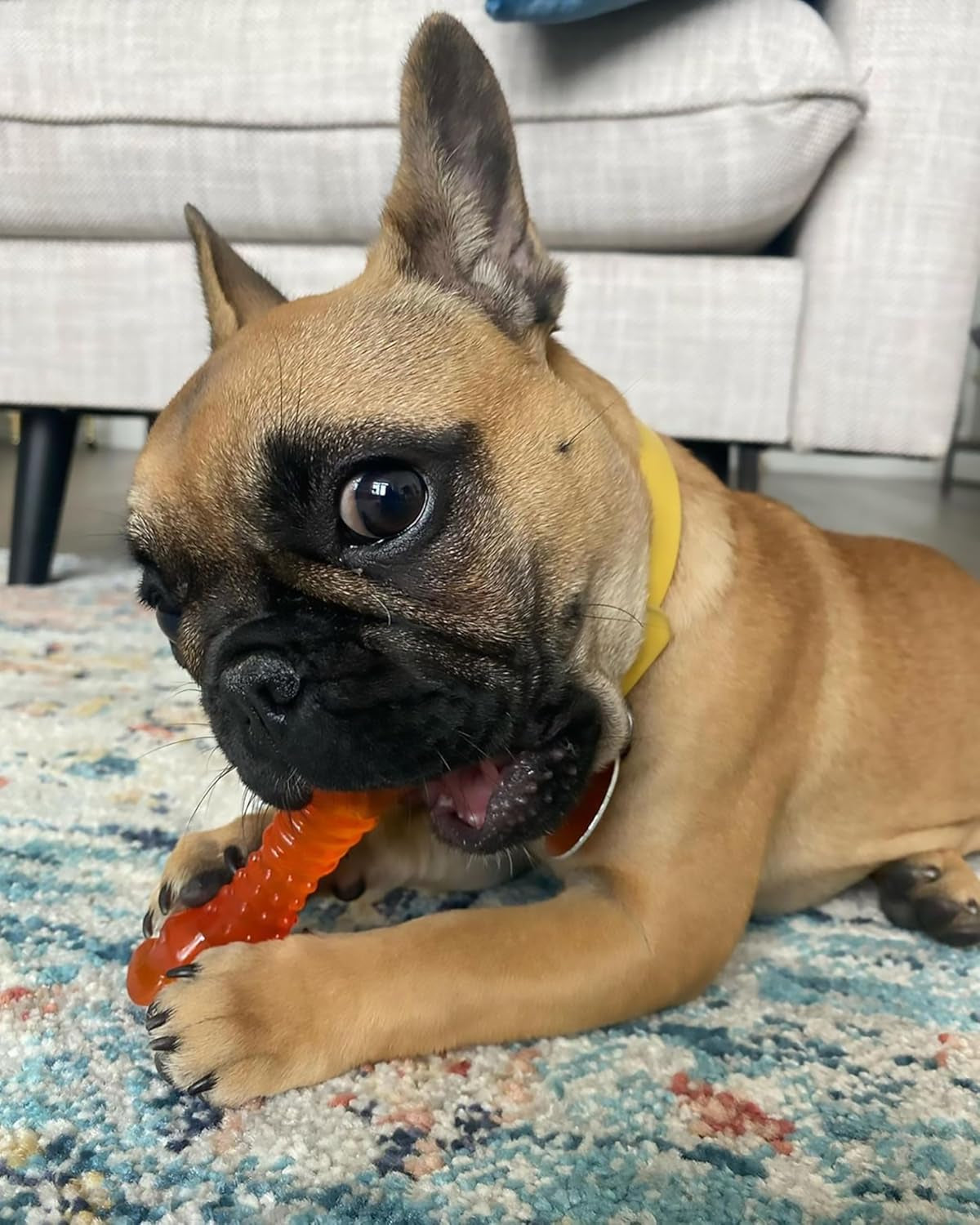 Freezer Knuckle Bone Puppy Chew Toy, Soothing Teething Toys for Puppies, Color Changing, Lamb & Apple Flavor, Small - up to 25 Lbs, 1 Count