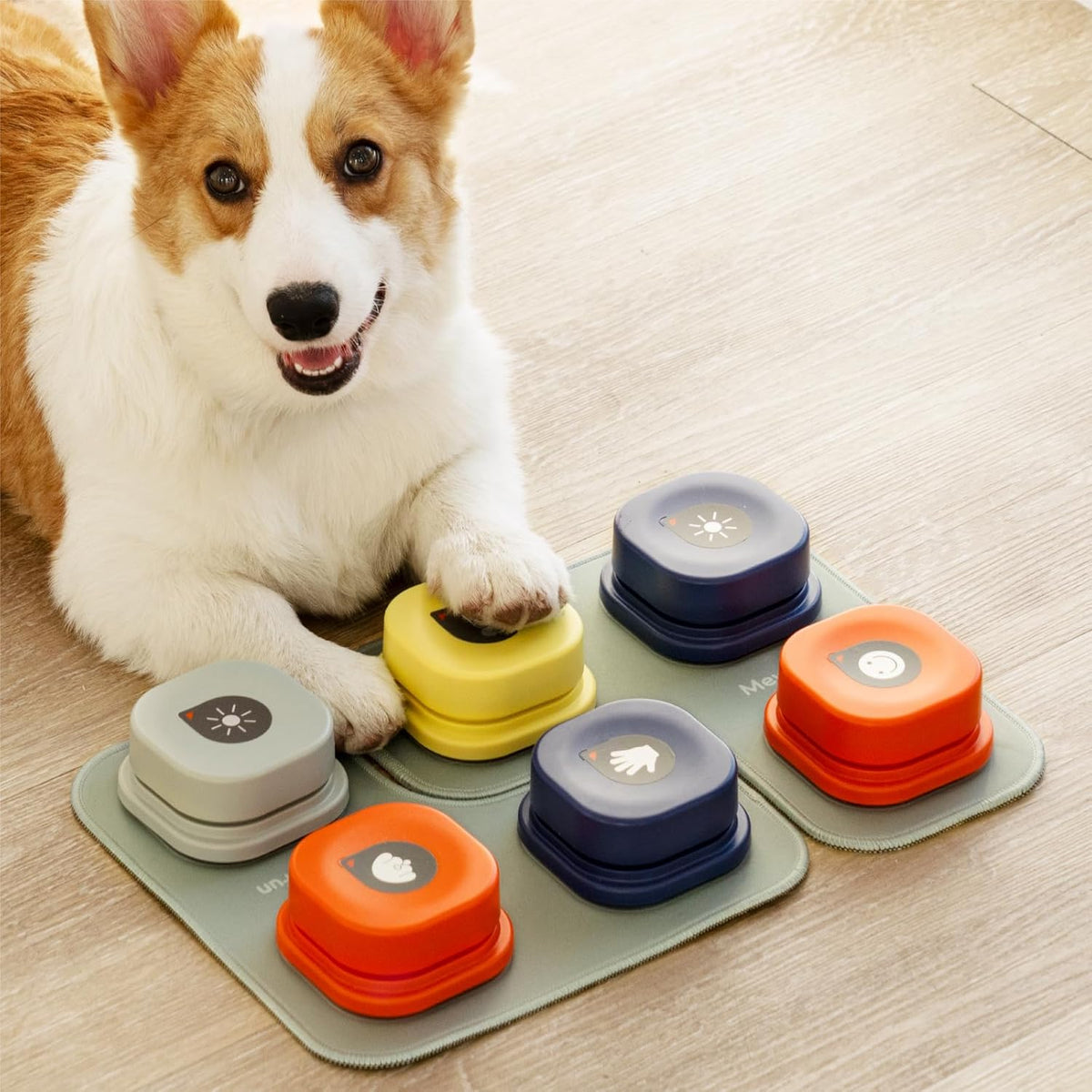 Pup Talk™ Interactive Dog Talking Buttons + Training Mat 🎤🐾