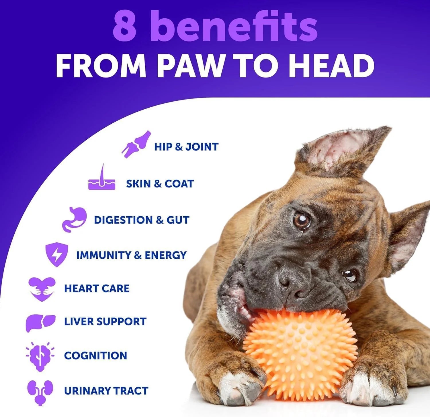 20 in 1 Dog Multivitamin with Glucosamine Chewable Dog Vitamins and Supplements Senior & Puppy Multivitamin Chews for Pet Hip & Joint Support Immunity Mobility Skin Digestion 70 Soft Treats