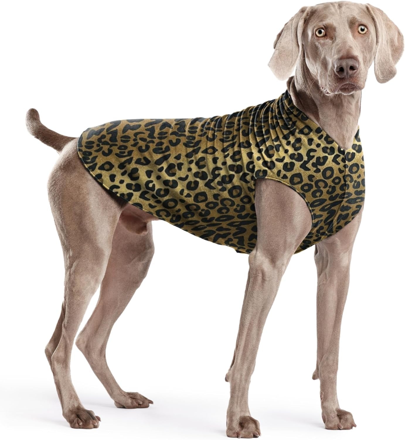 Goldpaw Stretchy Fleece Jacket for Small Dogs - Super Soft, Warm Dog Sweater - Pet Sweater Vest for Fall and Winter - Canine Clothes Made in the USA - Machine Washable - Mulberry Plaid - Size 16