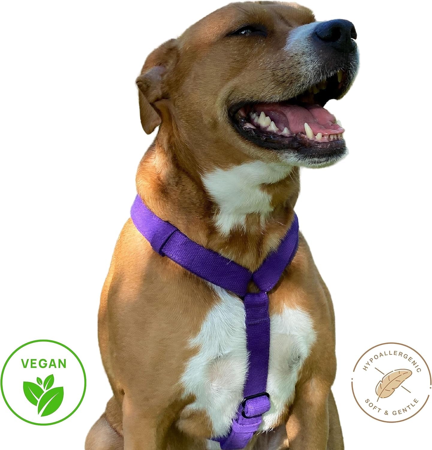 Pawsitive Dog Harness for Small, Medium, and Large Dogs. Puppy Harness for Dogs. Made from Soft Hypoallergenic Organic Hemp. (Small, Blue)