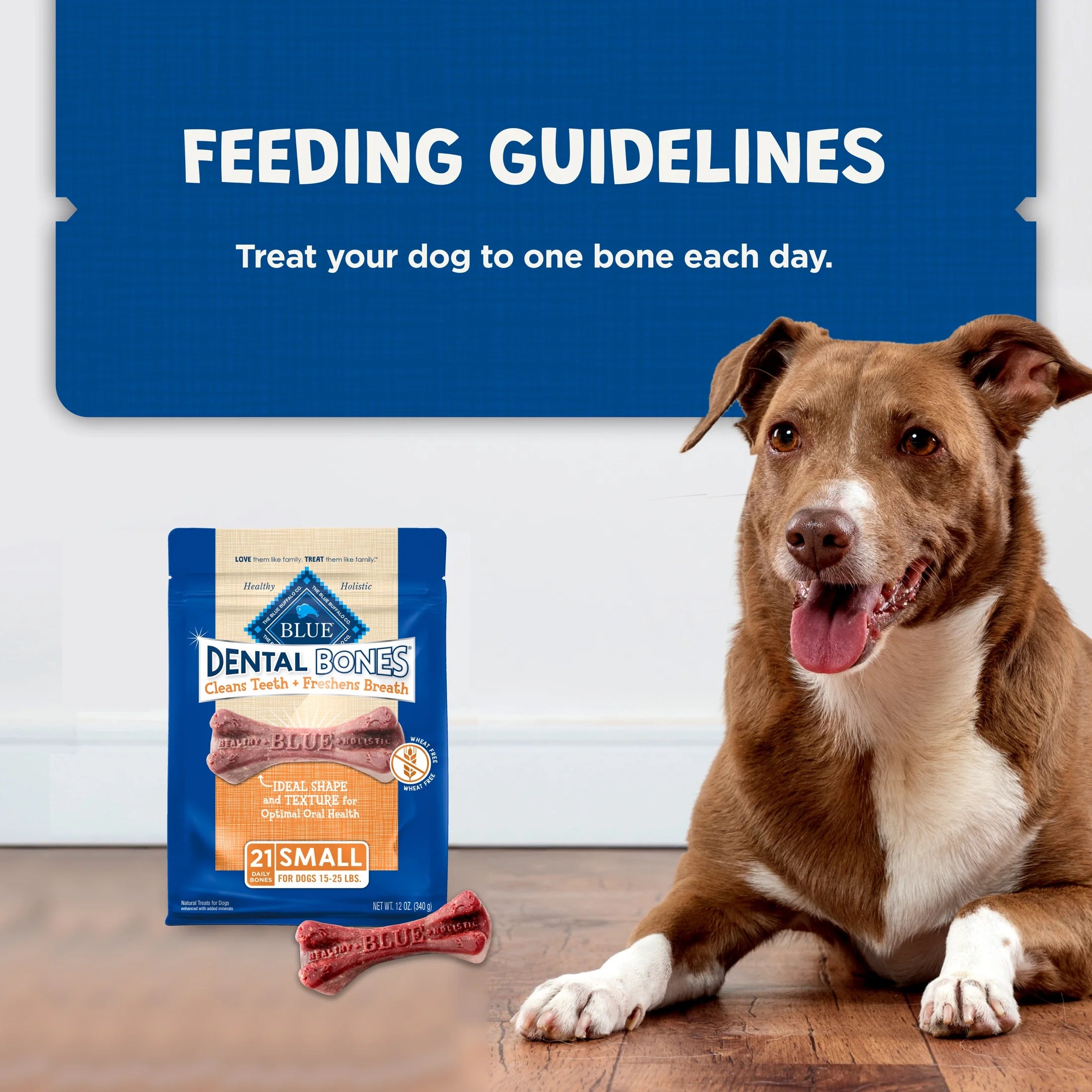 Dental Bones Small Natural Dental Chew Dog Treats, 12-Oz. Bag