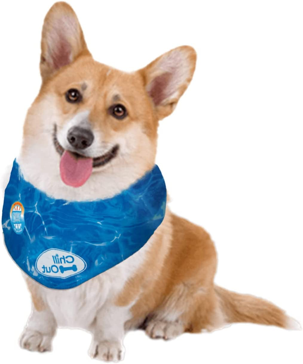 Chill Out Ice Bandana, Small