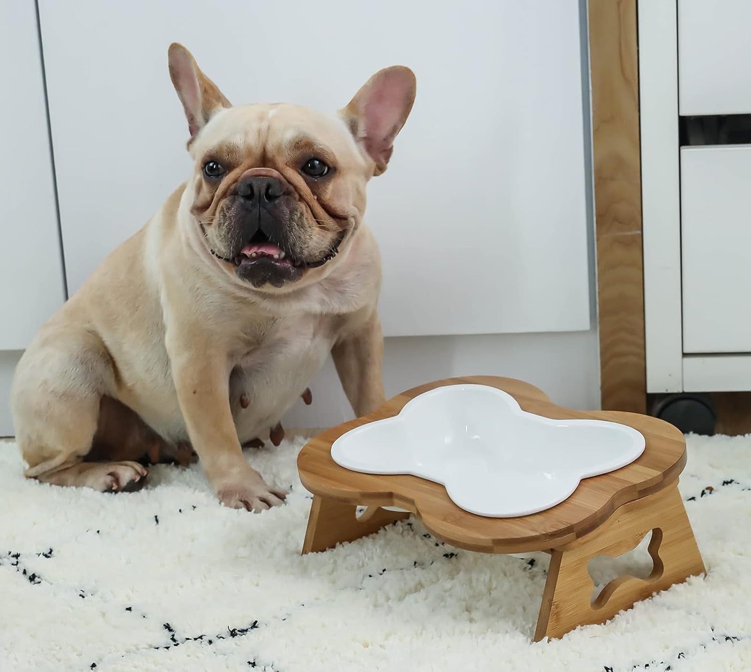 Elevated Ceramic Dog Bowl with Stand - Cute Raised Tilted anti Vomiting Cat Dish - Personalized Pet Feeder for Food and Water - Heavy Weighted No Tip over - Sized for Small/Medium Dog and Large Cat