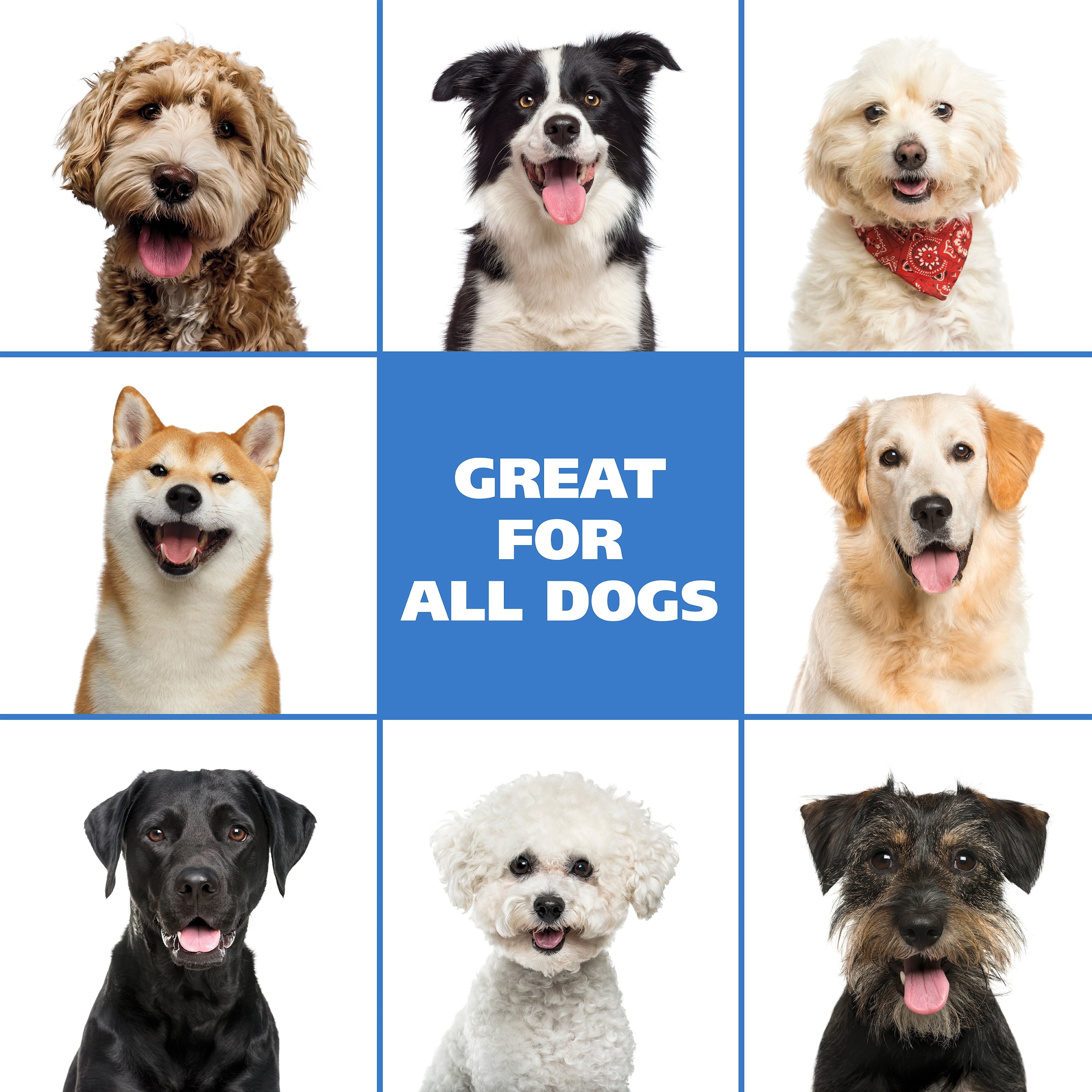 Waterless No Rinse Coconut Lime Verbena Dog Shampoo, 7.1-Oz Bottle 820015A